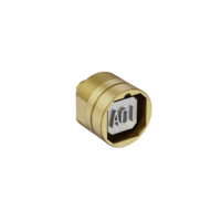 Bolt Lock